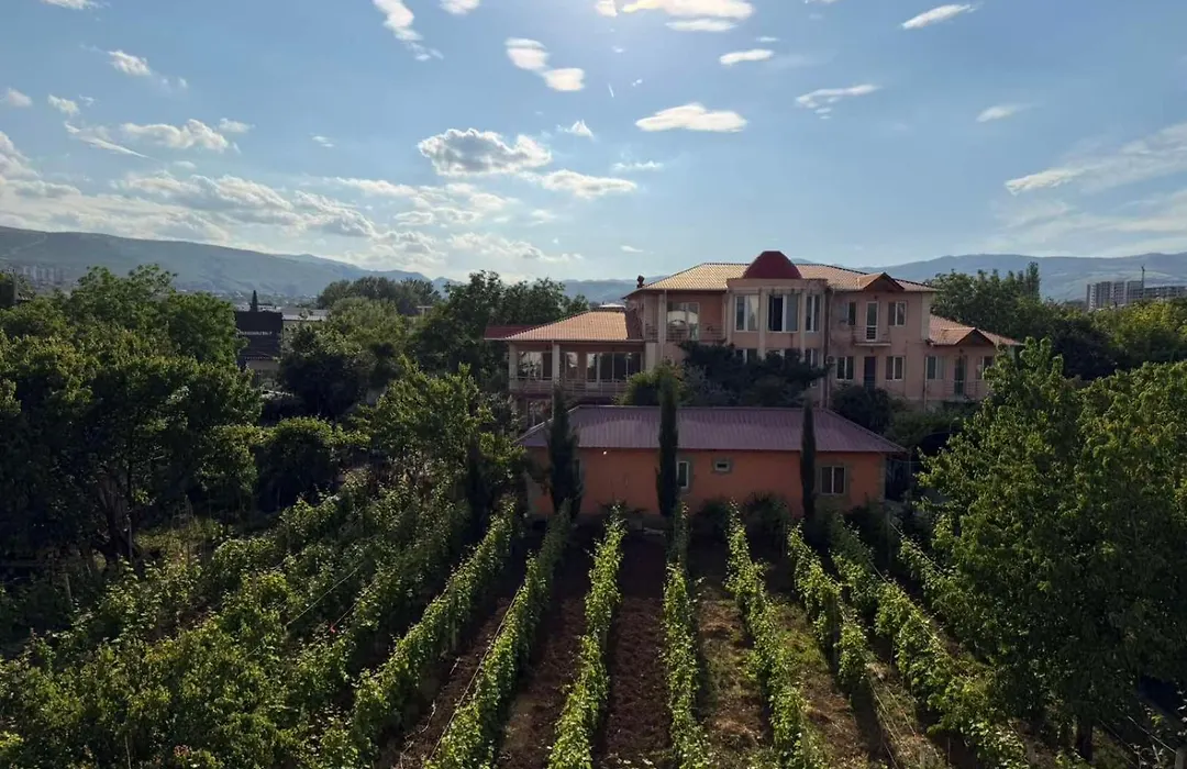 Wine Garden Apartment-1