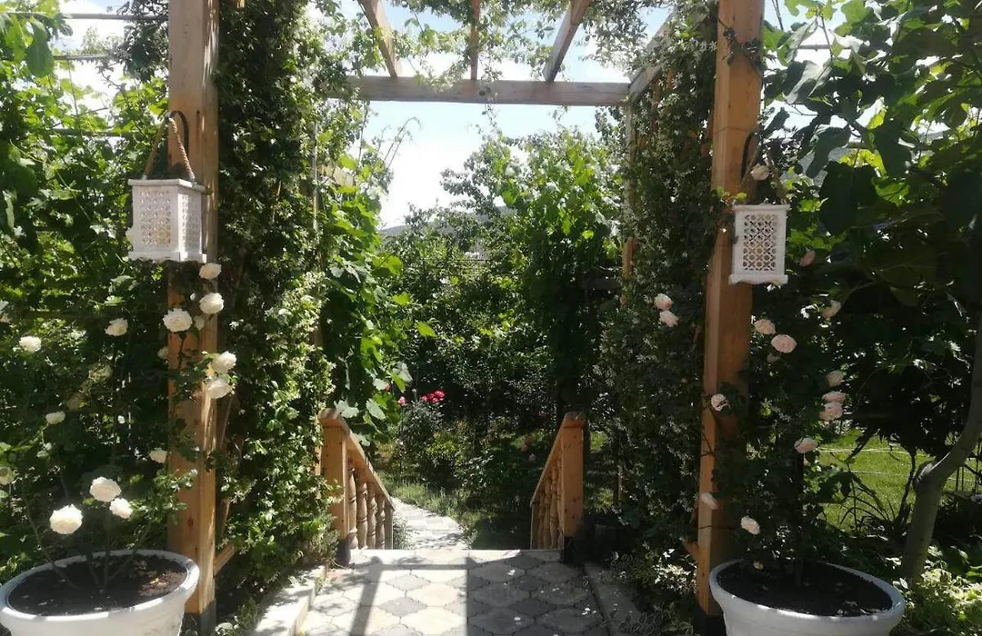 My Garden-1