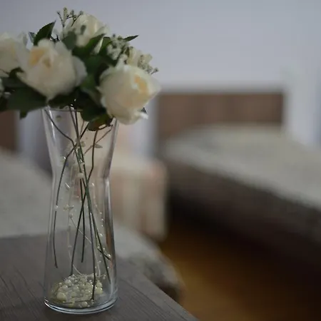 Tiflisi Guest House-3