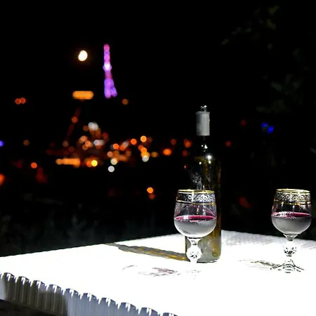Panorama Of Tbilisi-3