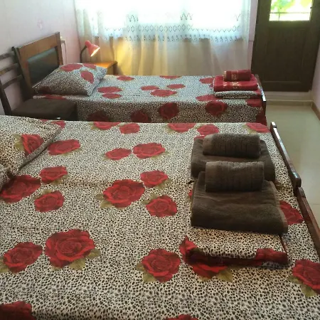 Alex'S Cosy Guesthouse-2